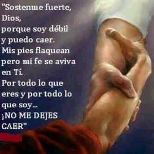 Meet your Posher, Olga